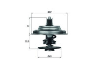 Thermostat, liqiuide de refroidissement BEHR