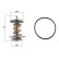 Thermostat, liqiuide de refroidissement BEHR