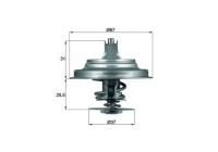 Thermostat, liqiuide de refroidissement BEHR