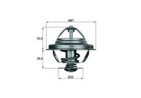 Thermostat, liqiuide de refroidissement BEHR