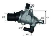 Thermostat, liqiuide de refroidissement BEHR