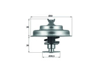 Thermostat, liqiuide de refroidissement BEHR
