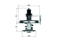 Thermostat, liqiuide de refroidissement BEHR
