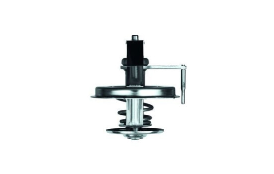 Thermostat, liqiuide de refroidissement BEHR, Image 2