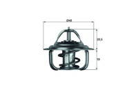 Thermostat, liqiuide de refroidissement BEHR