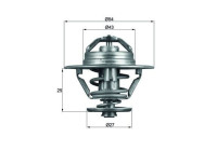 Thermostat, liqiuide de refroidissement BEHR