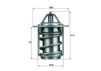 Thermostat, liqiuide de refroidissement BEHR