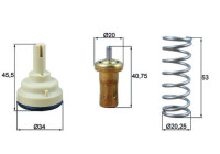 Thermostat, liqiuide de refroidissement BEHR