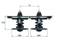 Thermostat, liqiuide de refroidissement BEHR