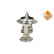 Thermostat, liqiuide de refroidissement EASY FIT, Vignette 6