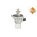 Thermostat, liqiuide de refroidissement EASY FIT, Vignette 5