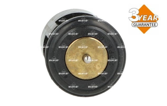 Thermostat, liqiuide de refroidissement, Image 4