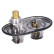 Thermostat, liquide de refroidissement 195477 FEBI