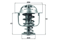 Thermostat, liquide de refroidissement