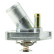 Thermostat, liquide de refroidissement, Vignette 2