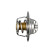 Thermostat, liquide de refroidissement, Vignette 2