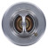 Thermostat, liquide de refroidissement, Vignette 7