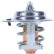 Thermostat, liquide de refroidissement, Vignette 5