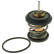 Thermostat, liquide de refroidissement, Vignette 5