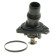Thermostat, liquide de refroidissement, Vignette 8