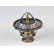 Thermostat, liquide de refroidissement, Vignette 5