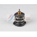 Thermostat, liquide de refroidissement, Vignette 4