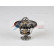 Thermostat, liquide de refroidissement, Vignette 4