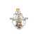 Thermostat, liquide de refroidissement, Vignette 4