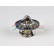 Thermostat, liquide de refroidissement, Vignette 4