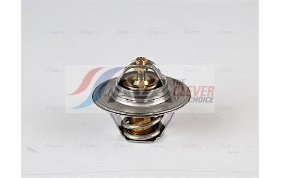 Thermostat, liquide de refroidissement, Image 4