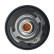 Thermostat, liquide de refroidissement, Vignette 3