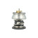 Thermostat, liquide de refroidissement, Vignette 3