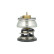 Thermostat, liquide de refroidissement, Vignette 4