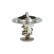Thermostat, liquide de refroidissement, Vignette 5
