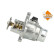 Thermostat, liquide de refroidissement, Vignette 2