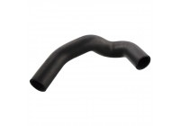 Durite de radiateur 12095 FEBI