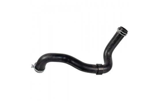 Durite de radiateur 170959 FEBI