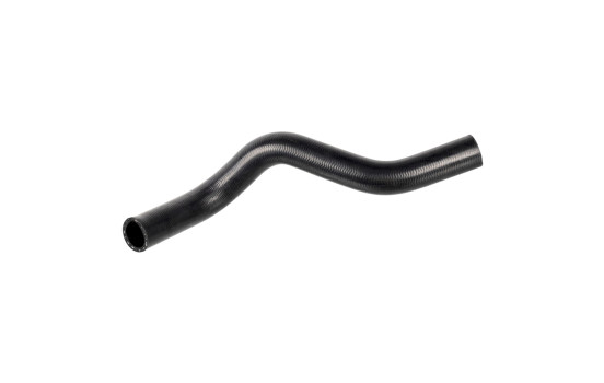 Durite de radiateur 174402 FEBI