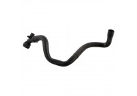 Durite de radiateur 32117 FEBI