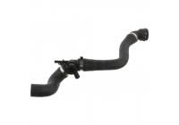Durite de radiateur 36093 FEBI