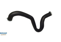 Flexible d'air de suralimentation