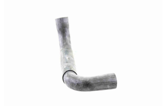 Tuyau de radiateur, Image 4