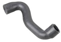 Tuyau de radiateur