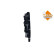 Roue du ventilateur de refroidissement 470029 NRF, Vignette 5