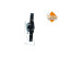 ventilateur de refroidissement 47325 NRF, Vignette 5