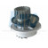 Pompe à eau DW-1003 Kavo parts, Vignette 2