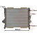 Radiateur, refroidissement du moteur 43002167 International Radiators, Vignette 3