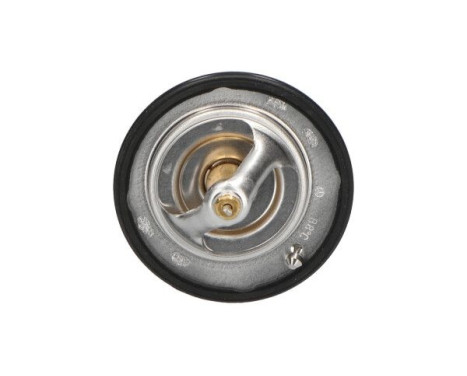 Thermostat d'eau TH-8004 Kavo parts, Image 2