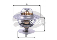 Thermostat d'eau TH11287G1 Gates