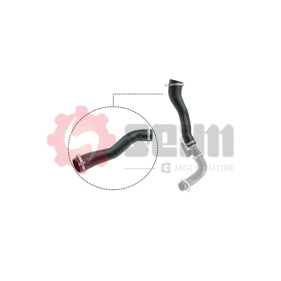 Tuyau D'Air De Suralimentation THERMOTEC DCW304TT - Compatible SEAT, SKODA, VW - Neuf D'Origine
